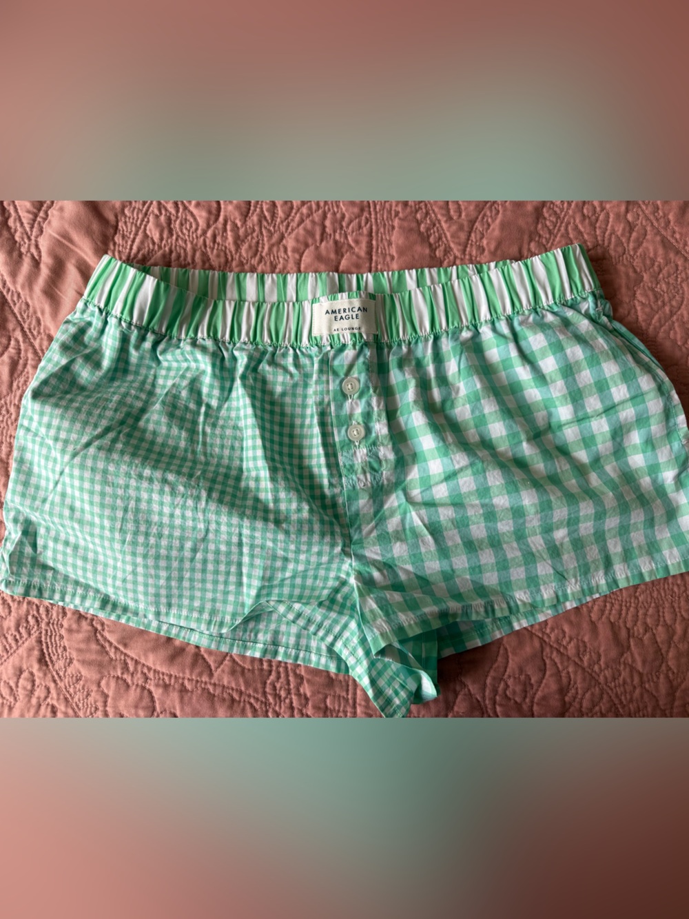American Eagle Outfitters Mint Green Gingham Shorts